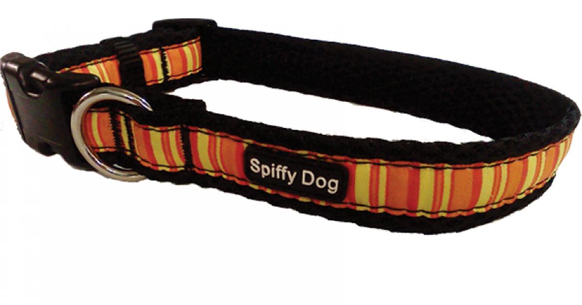 Review Spiffy Dog Air Collar Outside Bozeman